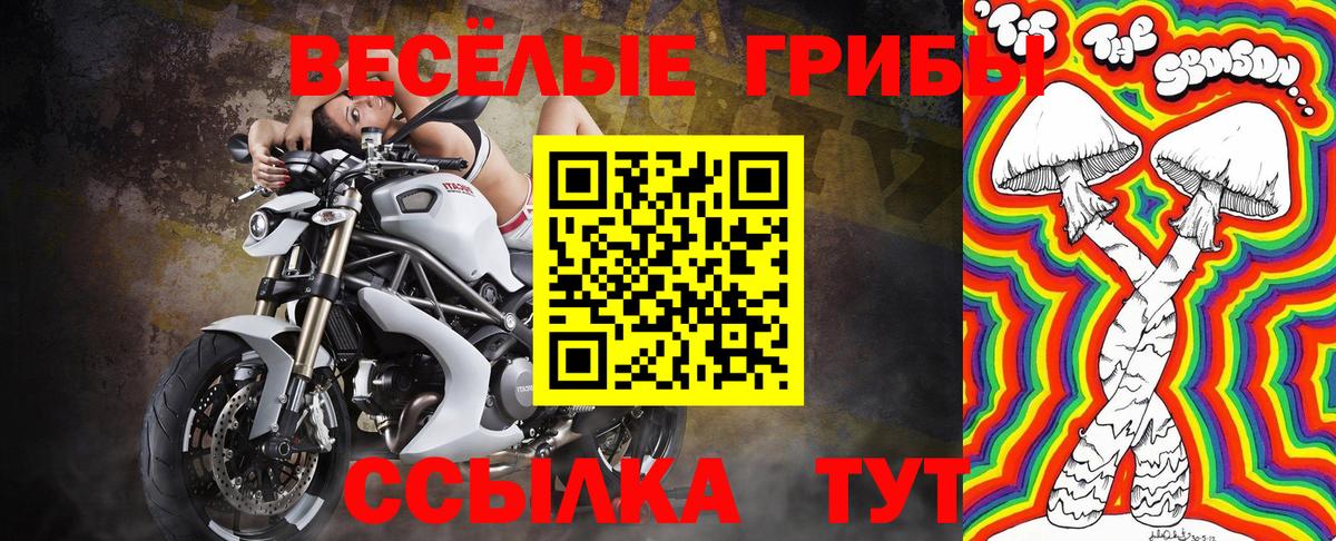 Галлюциногенные грибы мухоморы Бузулук